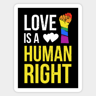 Love is a Human Right Magnet